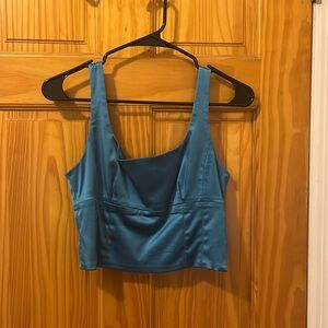 Blue Aritzia Corset Top